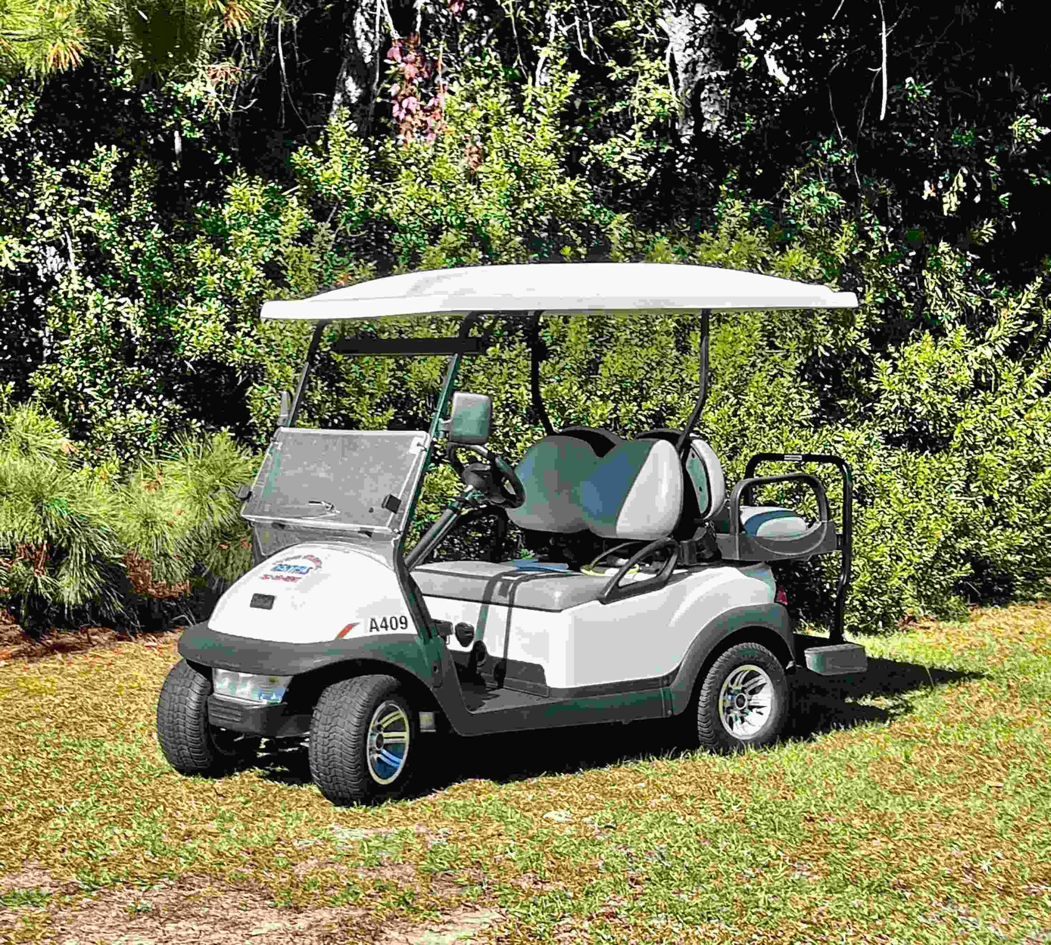 Golf Cart Fun