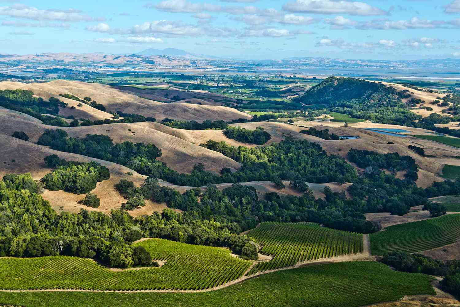 Soil Erosion and Mantainence of Green Areas in Sonoma Valley