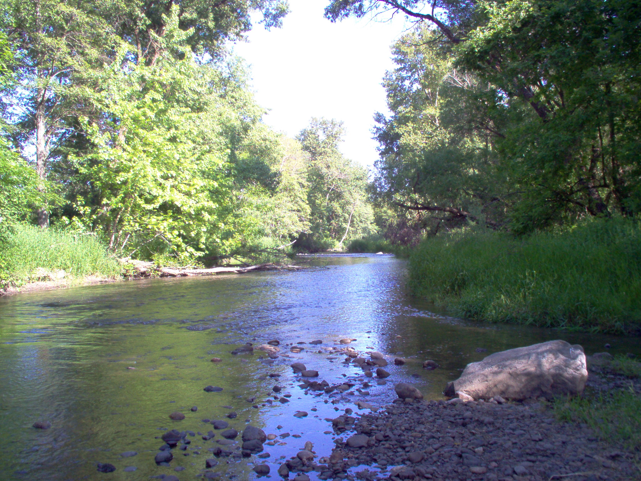 Wildfire Mitigation Project