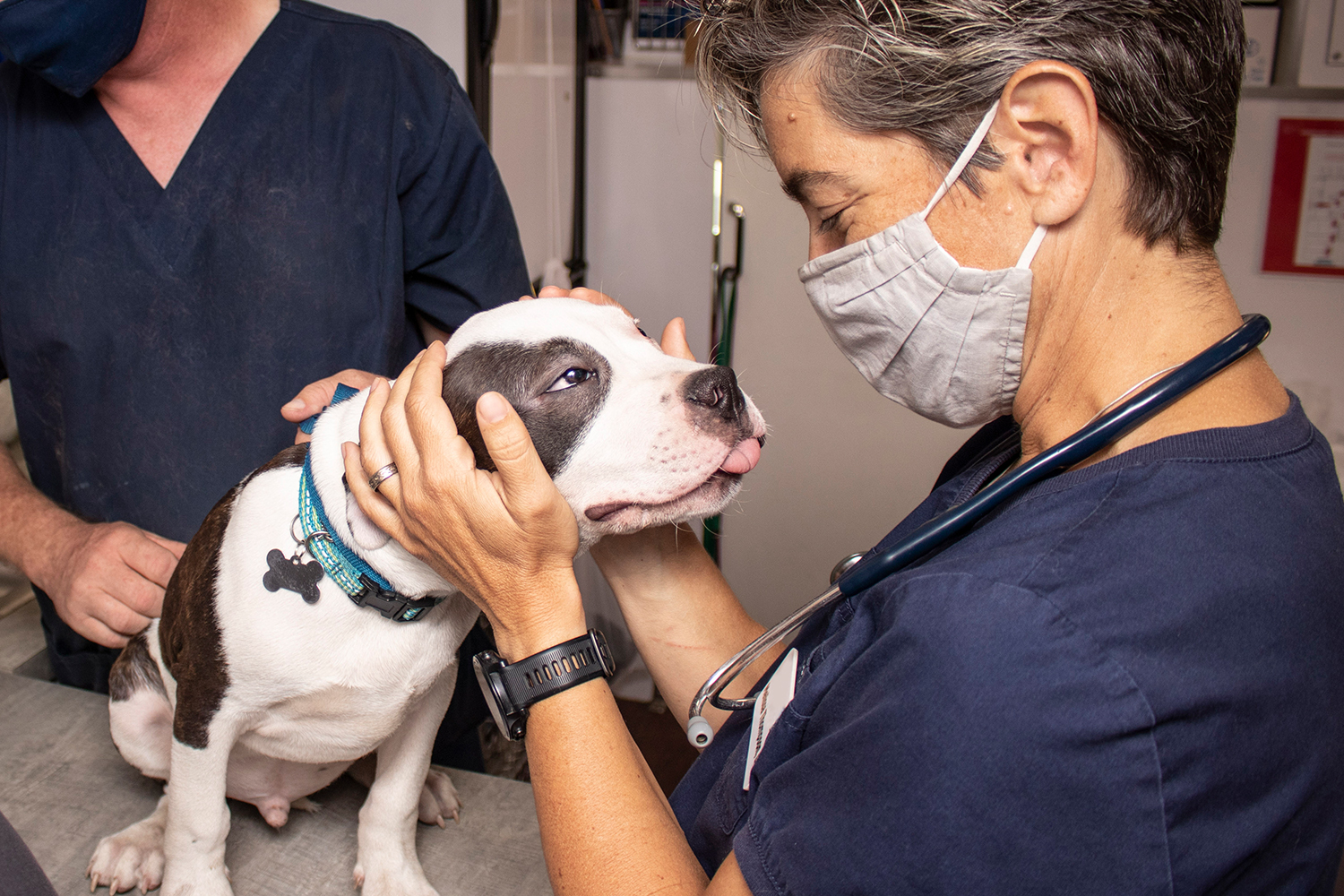 On-Call On-Site Veterniary Services for Furry Friends