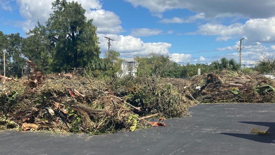 Vegetative Debris Removal: Hurricane Helene Recovery