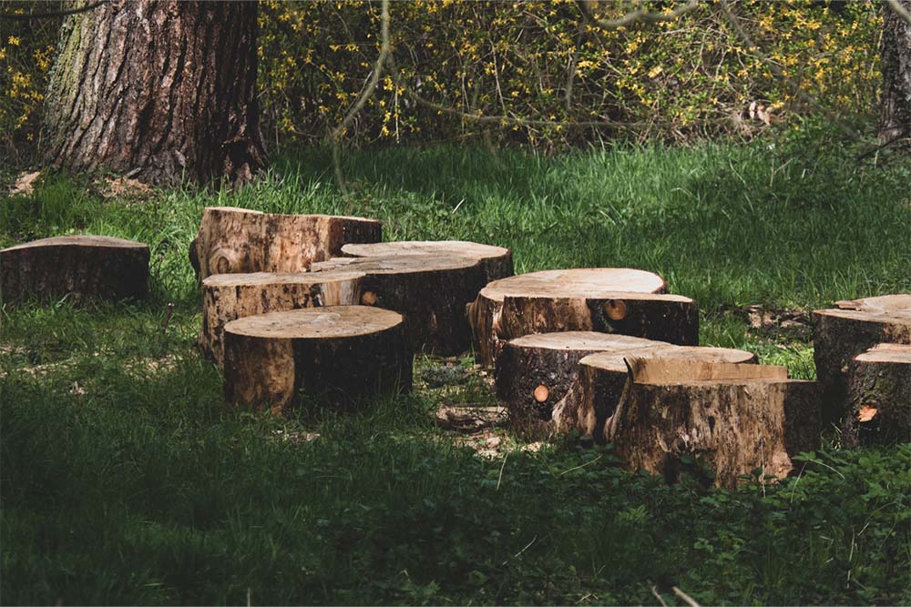 Tree and Stump Removal 