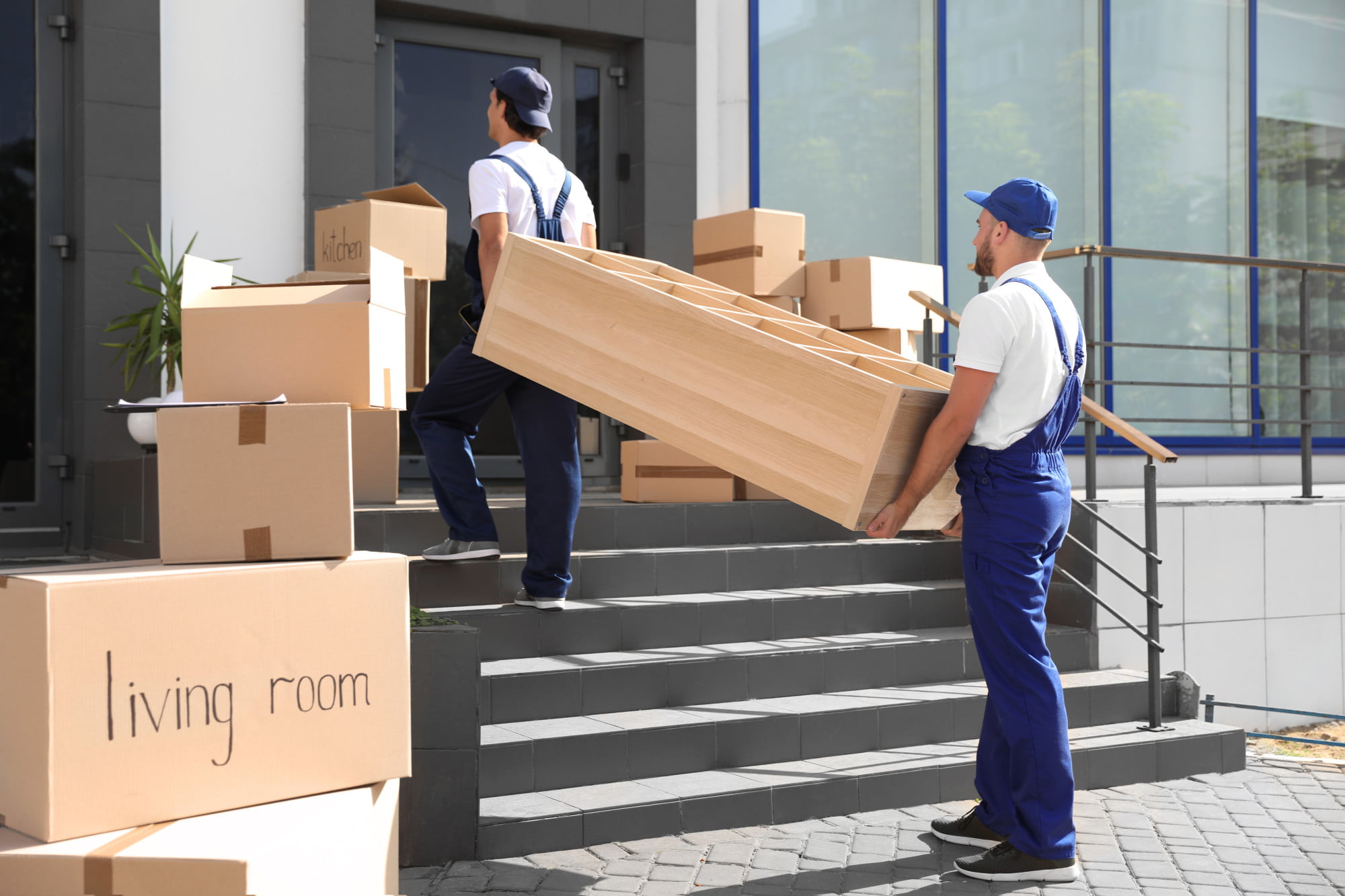Moving and Storage Services