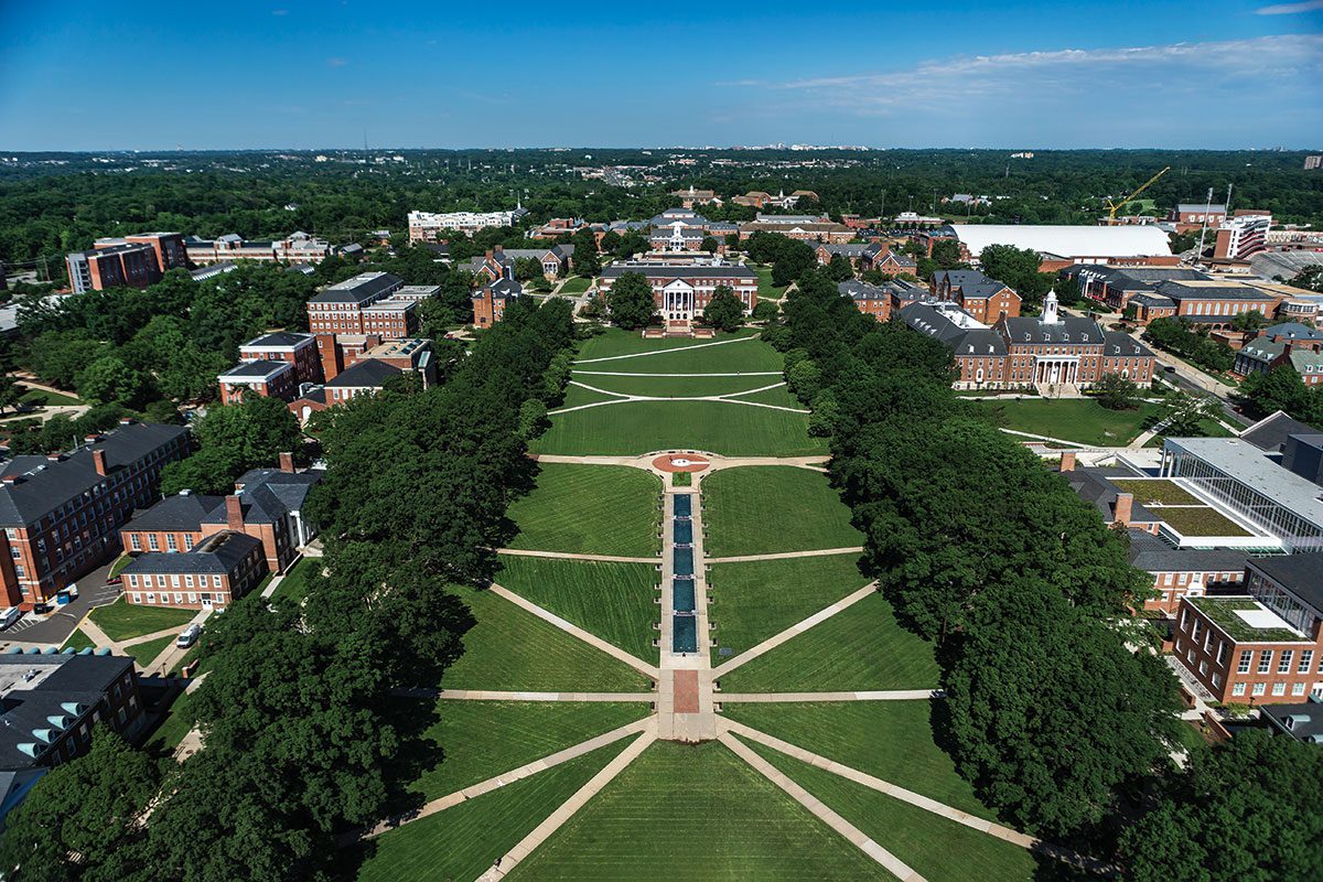 Tree Maintenance for University